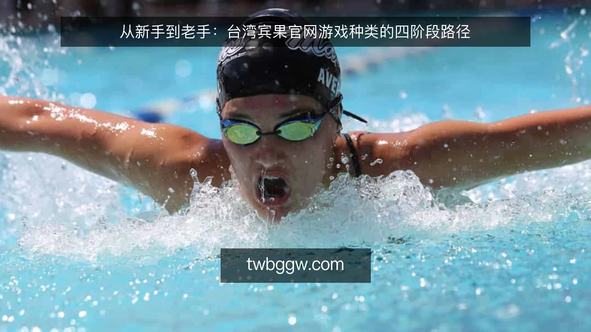 从新手到老手：台湾宾果官网游戏种类的四阶段路径