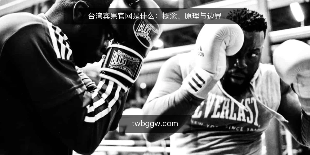 台湾宾果官网是什么:概念、原理与边界 — 台湾宾果官网是什么:先把概念说清 配图
